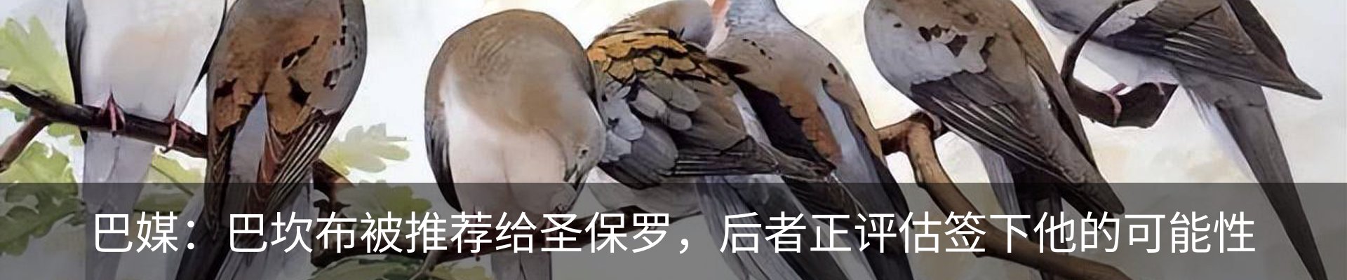 行业资讯